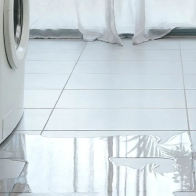Appliance Leak Cleanup in Carleton, MI