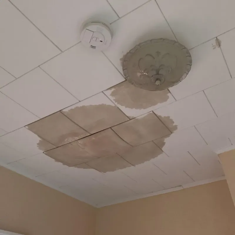 Ceiling Water Damage Repair in Carleton, MI