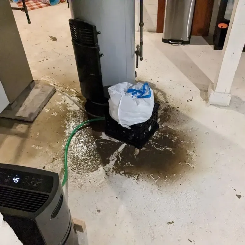 Sewage Backup Cleanup Service in Carleton, MI